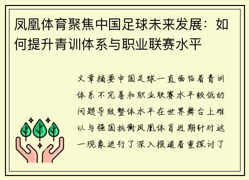 凤凰体育聚焦中国足球未来发展：如何提升青训体系与职业联赛水平